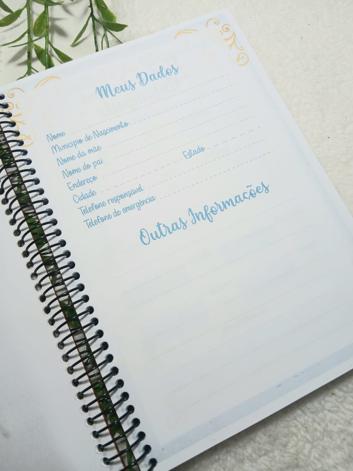 Caderneta de Vacina - Imagem 4