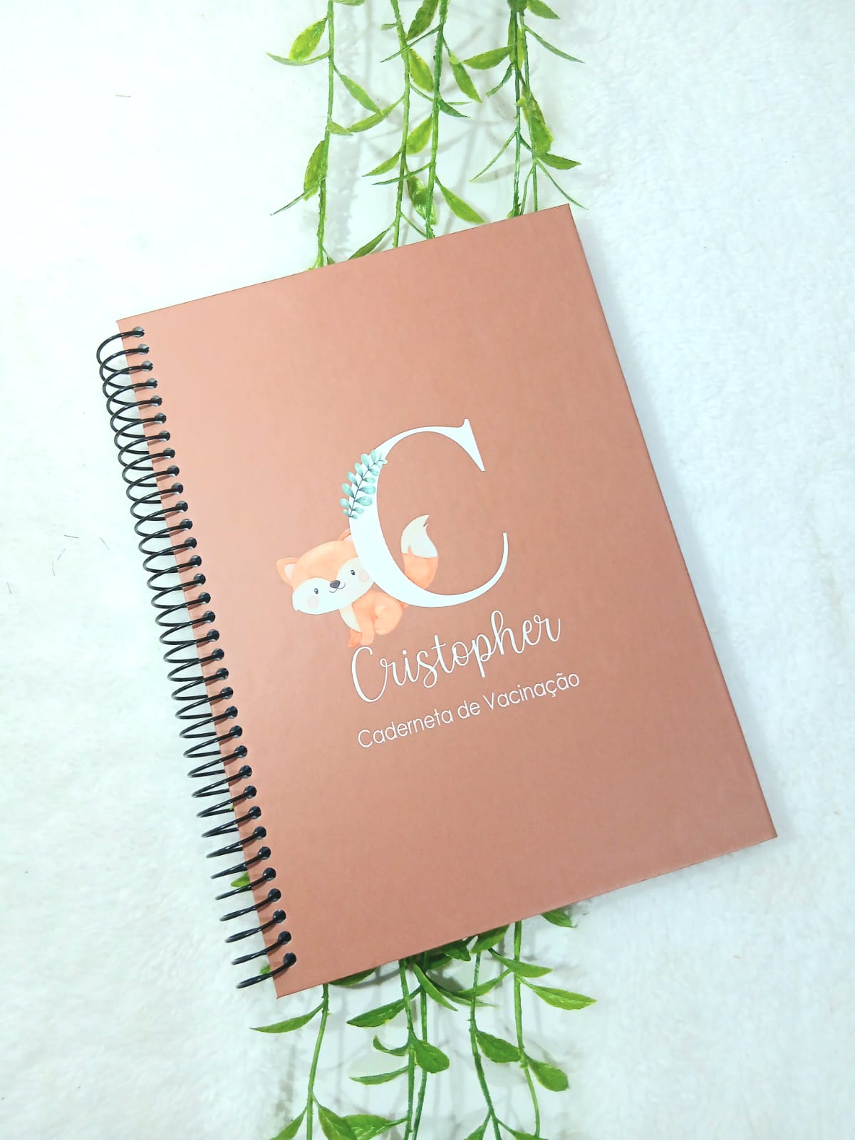 Caderneta de Vacina - Imagem 2