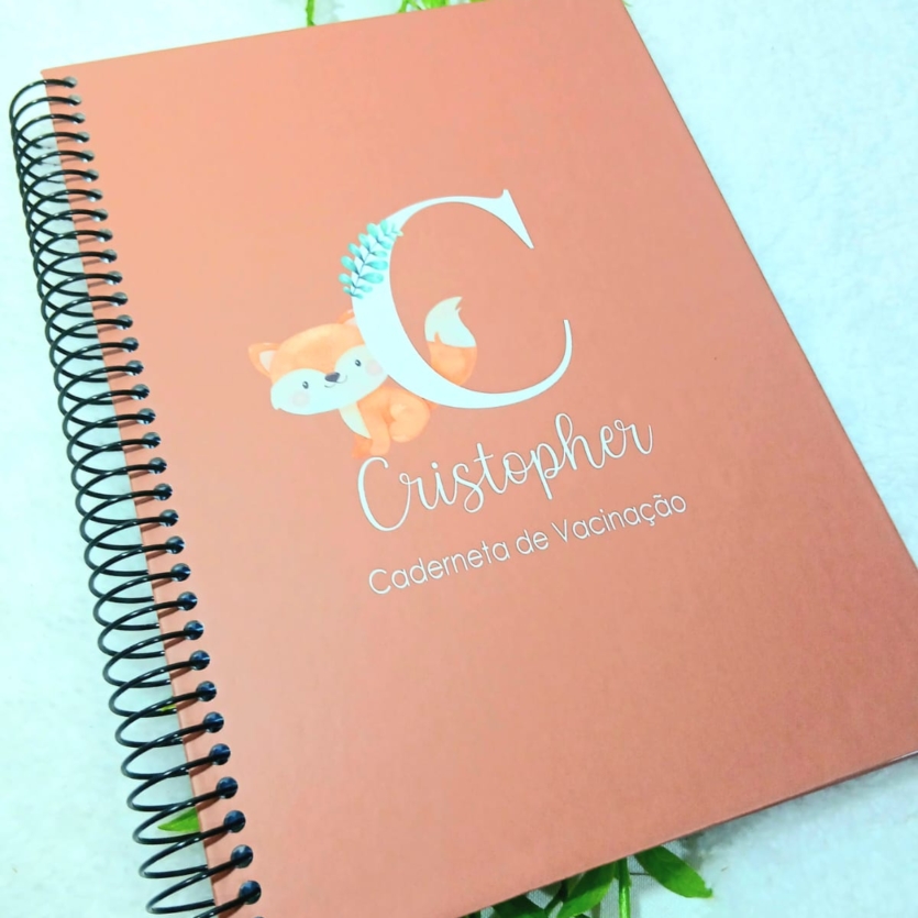 Caderneta de Vacina